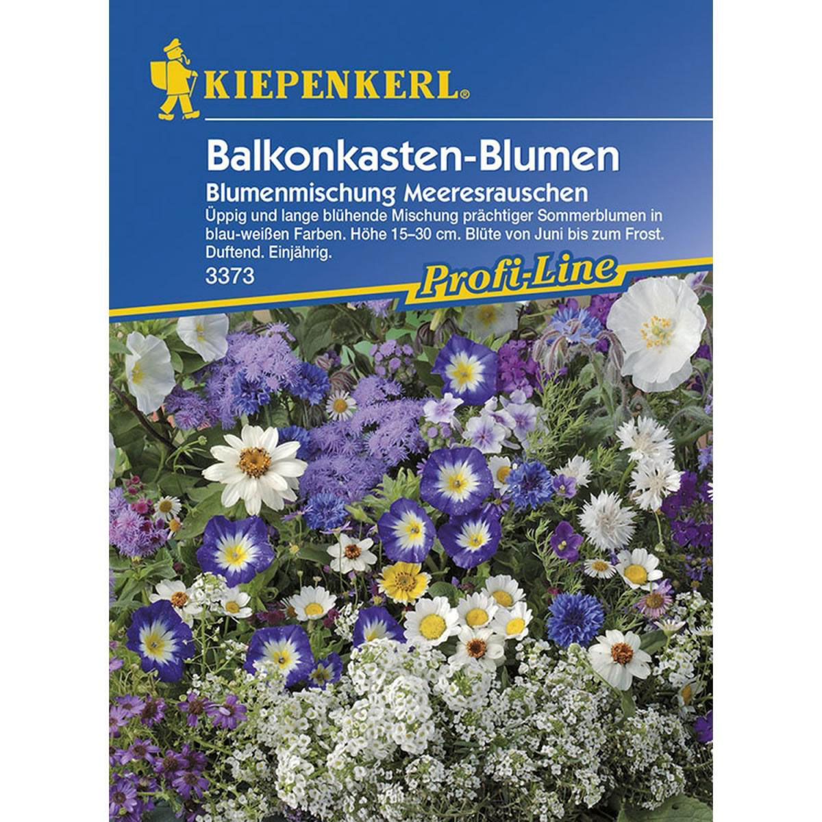 Kiepenkerl Balkonkastenblumen Meeresrauschen Profi-Line Bild 1