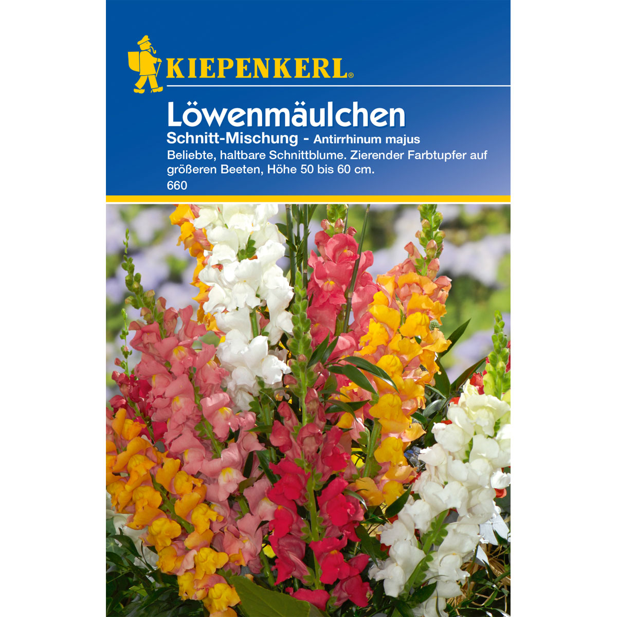 Kiepenkerl Löwenmäulchen Schnitt-Mix Bild 1