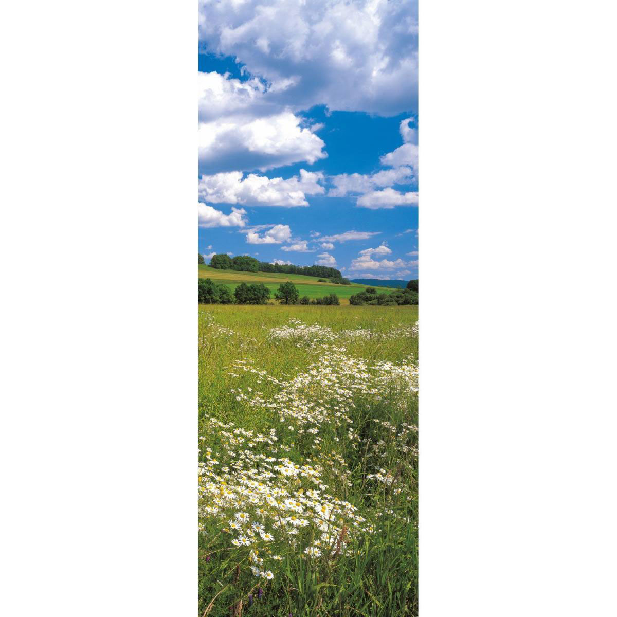 Komar Vlies-Fototapete Meadow 1-teilig 100 x 280 cm