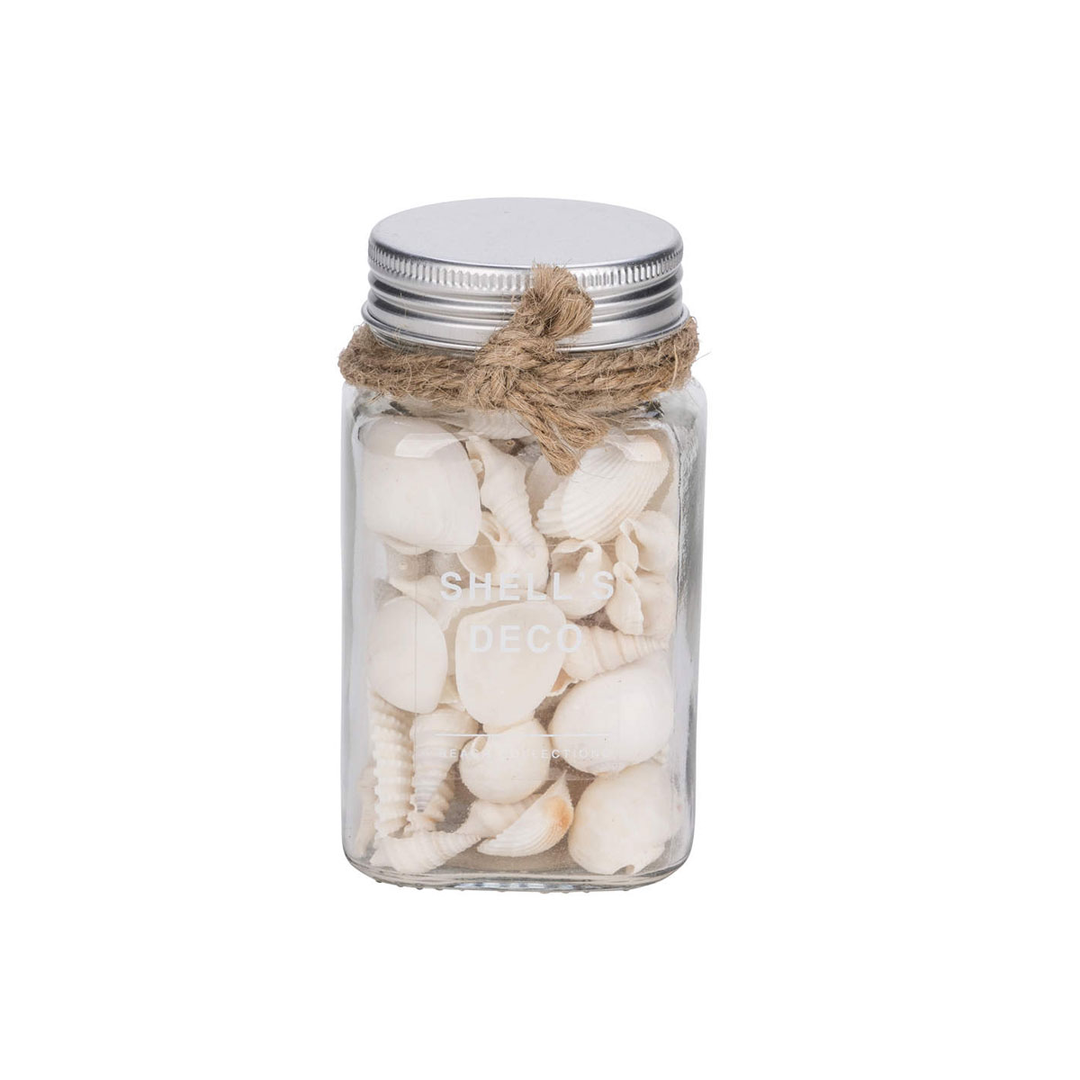 Deko-Muscheln im Glas 6 x 10,2 cm natur-weiß
