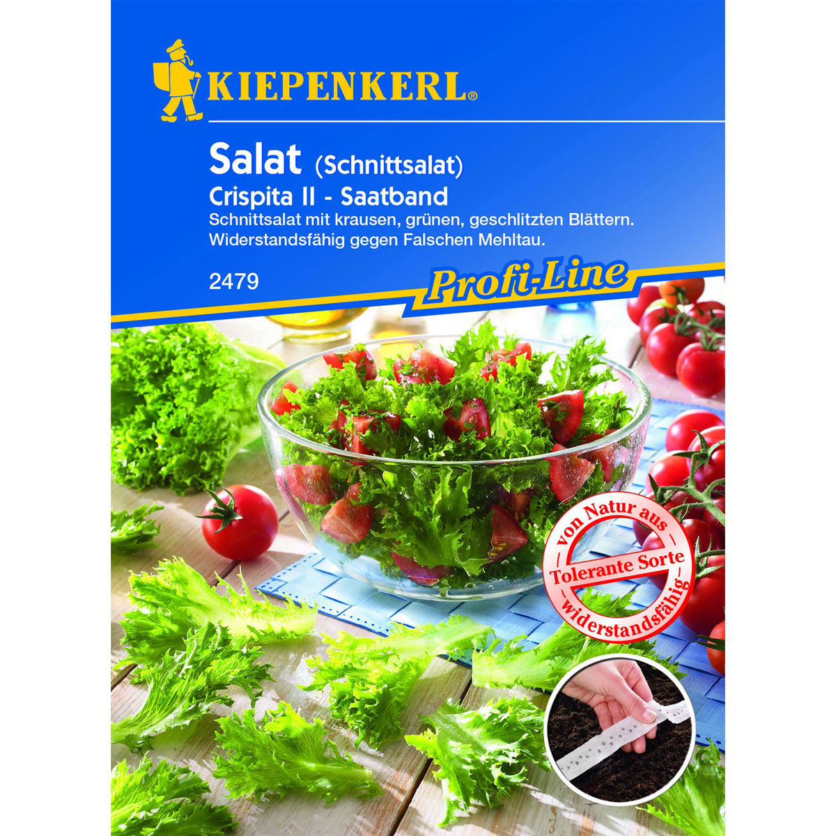 Kiepenkerl Salat Crispita II Bild 1