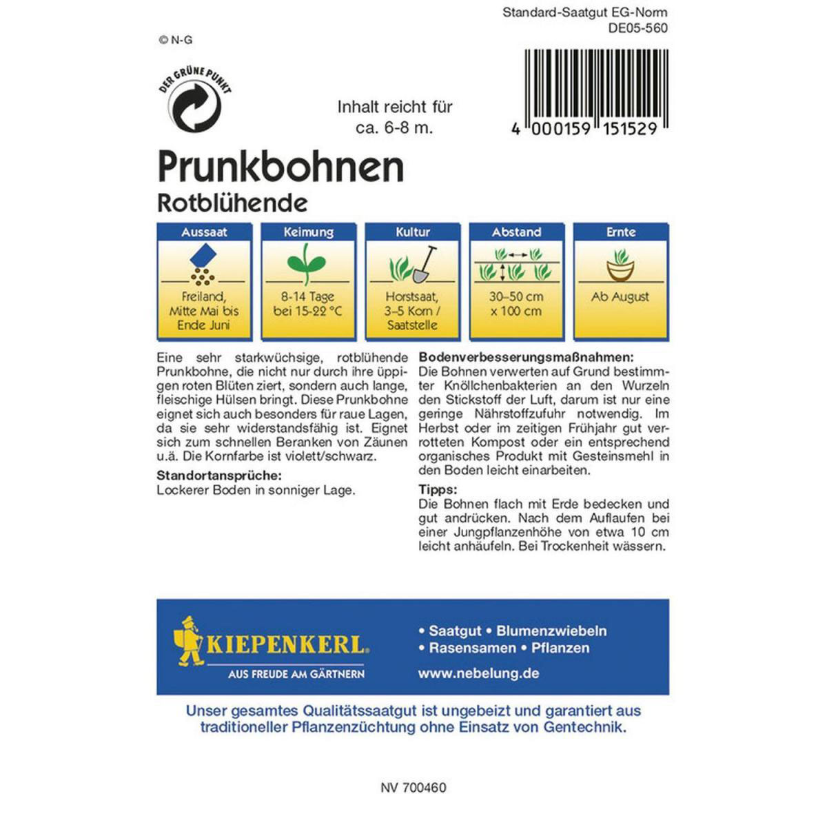 Kiepenkerl Prunkbohnen Rotblühende Bild 2