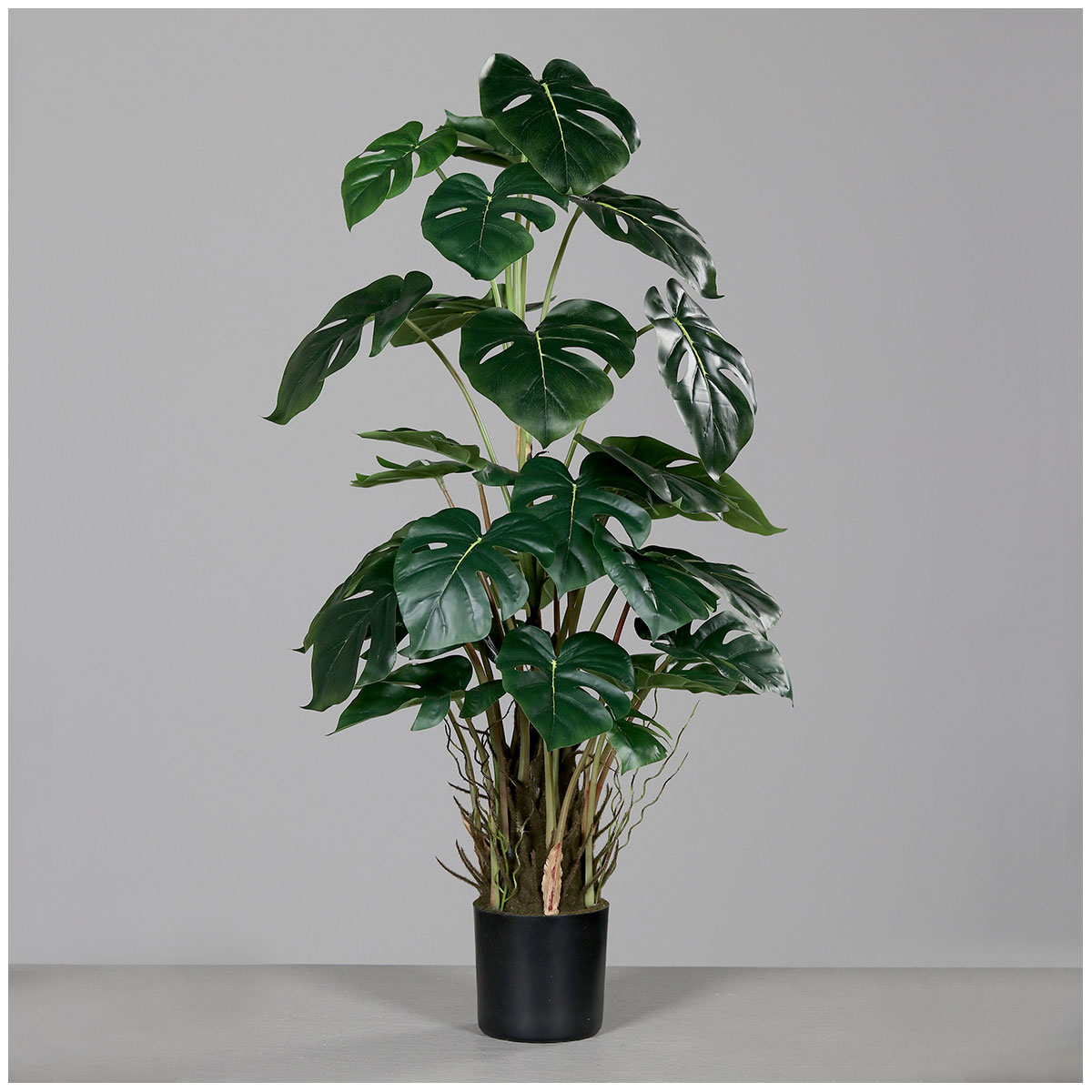 Monstera Kunststofftopf schwarz 82 cm