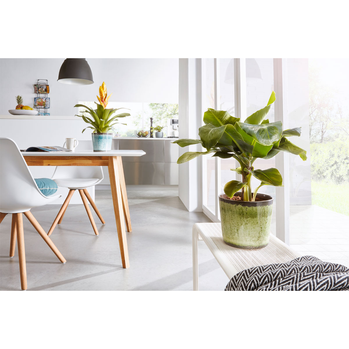 Scheurich Übertopf Ocean Glaze 870 13 cm Bild 2