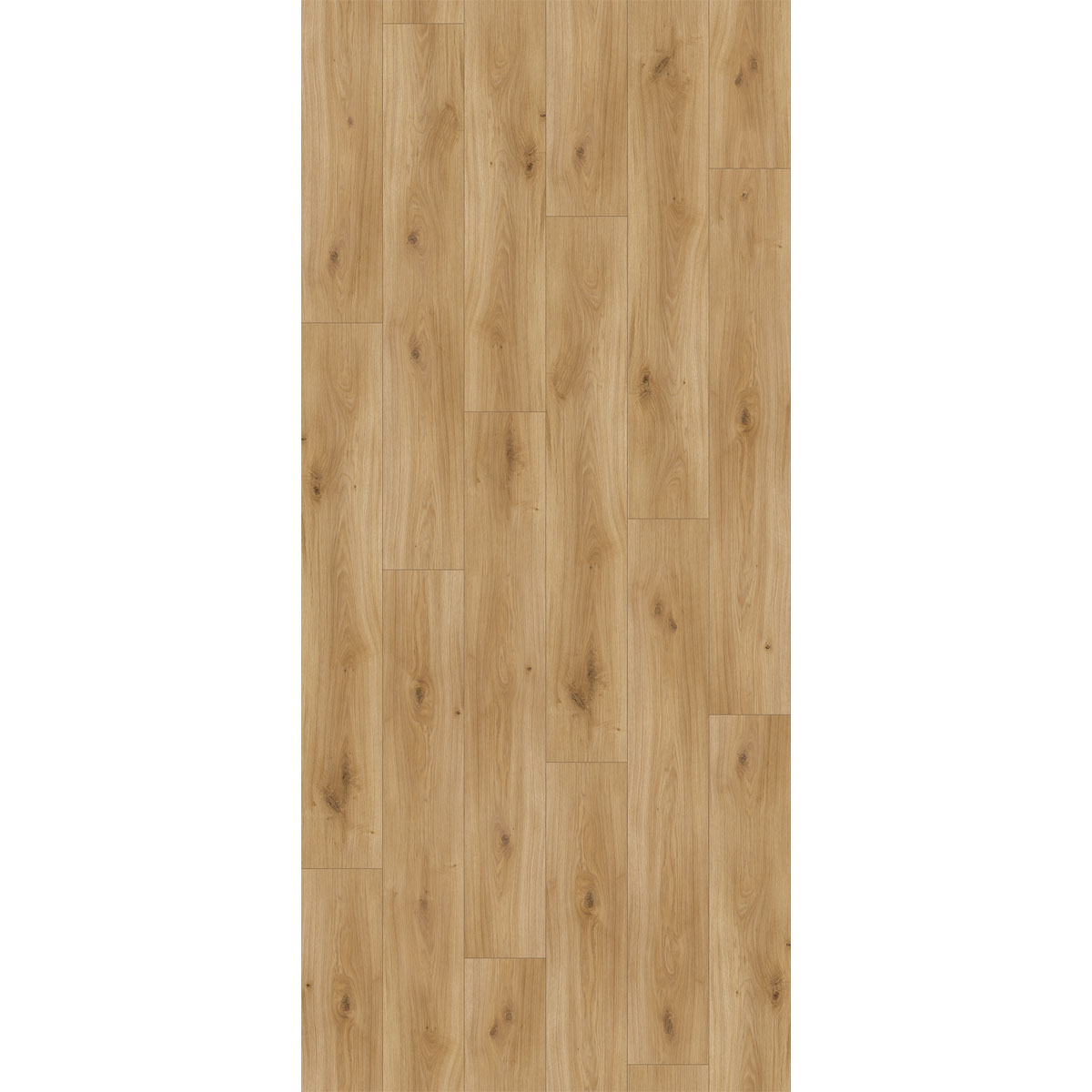 Parador Laminatboden „Basic 400“, Eiche Horizont Natur, Seidenmatte Struktur, 19,4x128,5 cm Bild 2