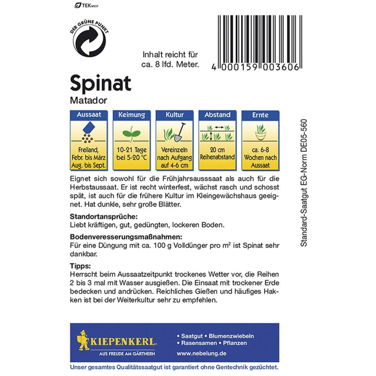 Kiepenkerl Spinat Matador Bild 2