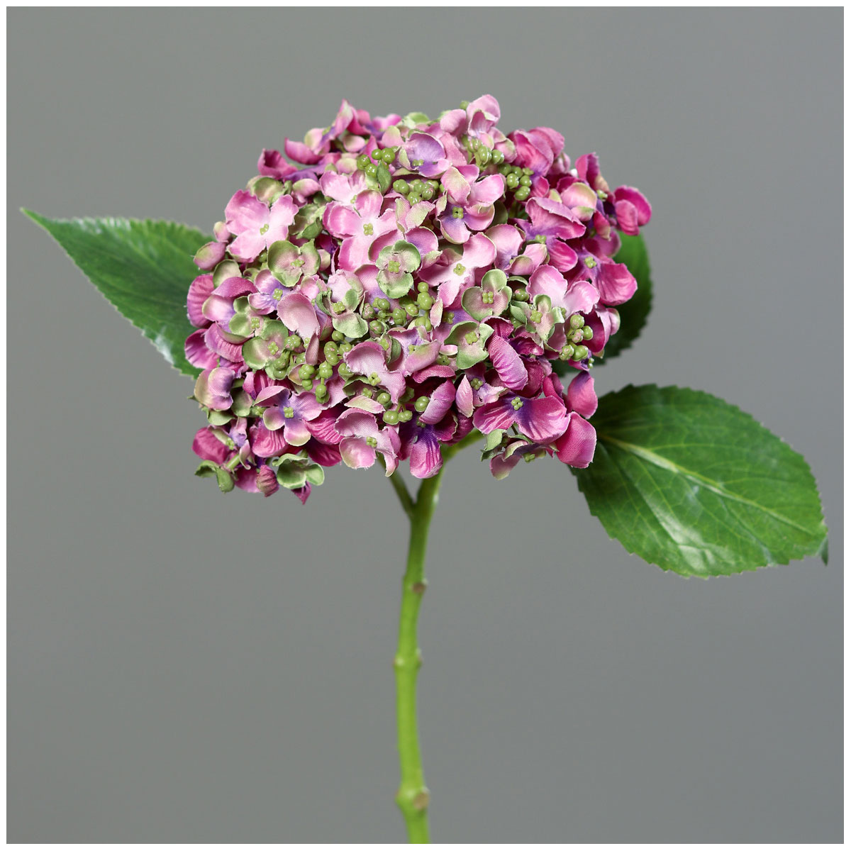 Hortensie mit Mini-Blüten 44 cm fuchsia