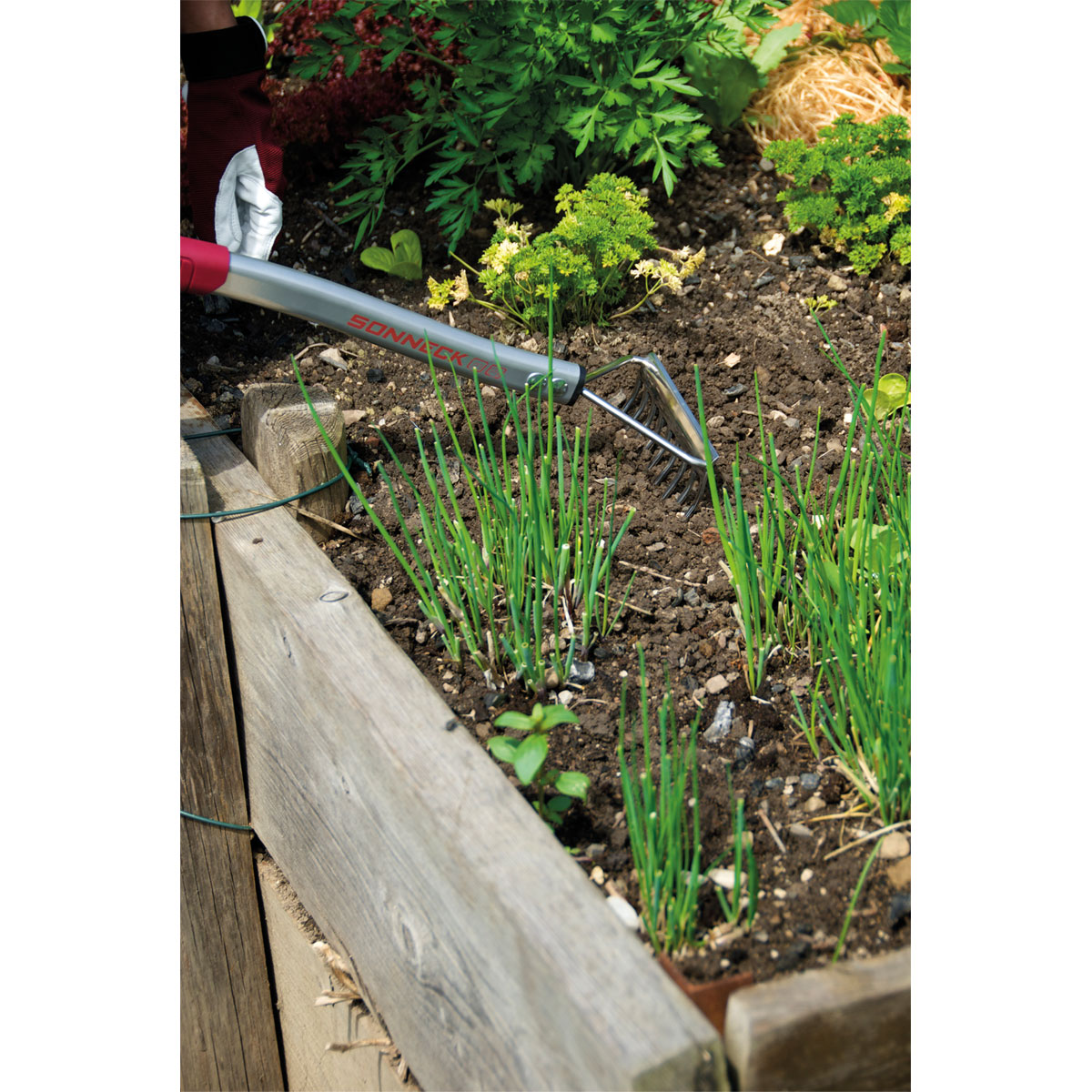 Hochbeetkleinrechen Premium 500 mm Bild 4