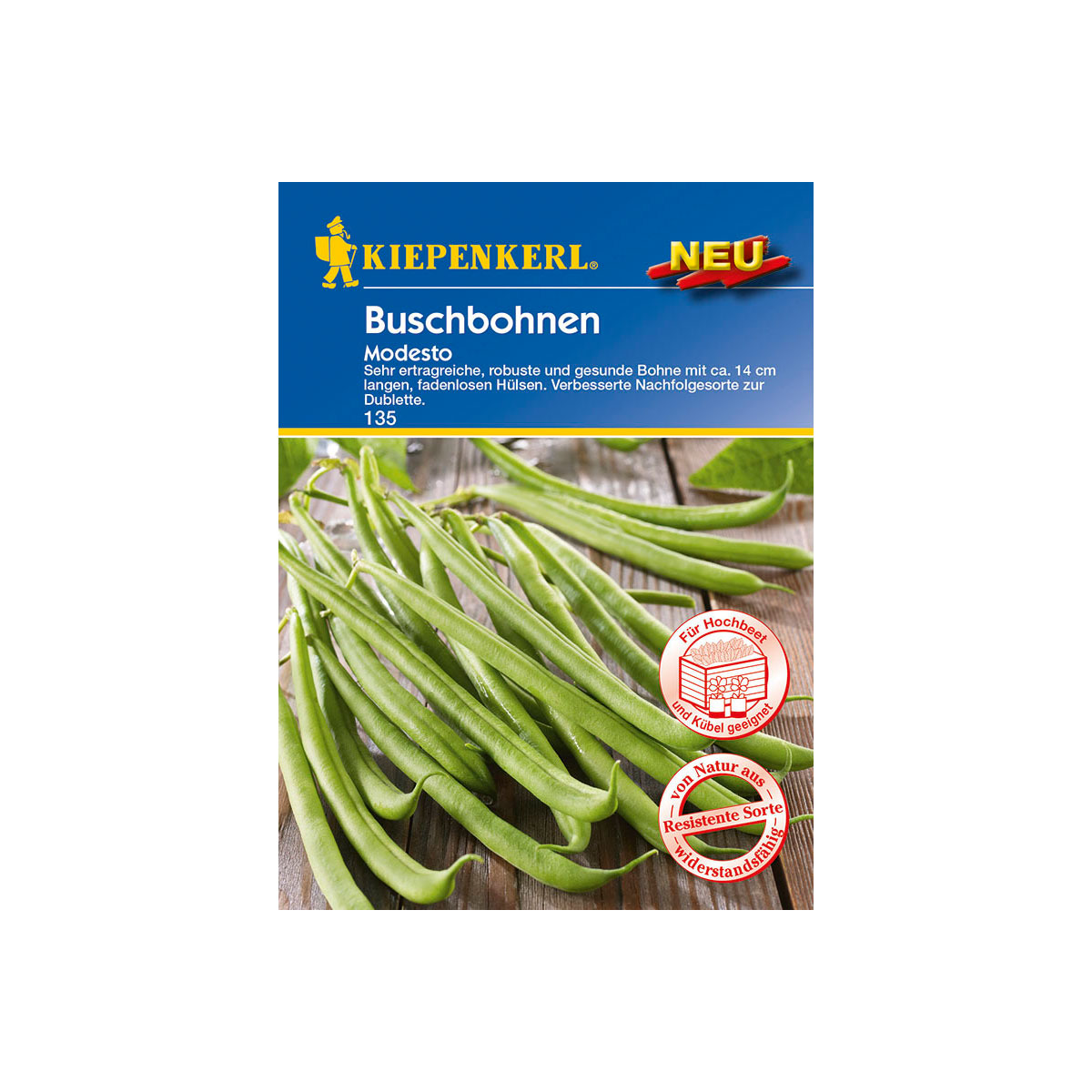 Kiepenkerl Buschbohne Modesto