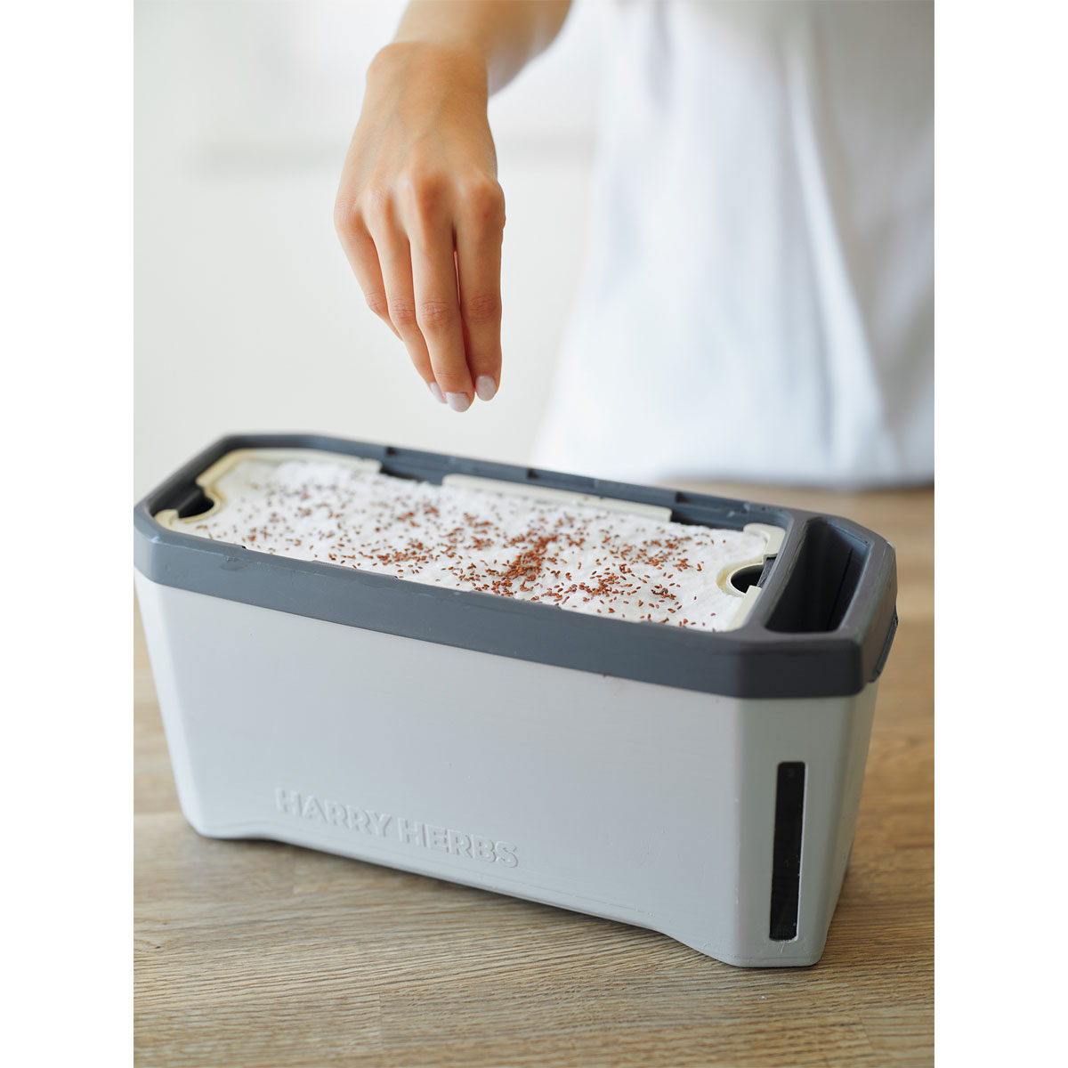 Anzuchtgefäß Harry Herbs mit Deckel hellgrau