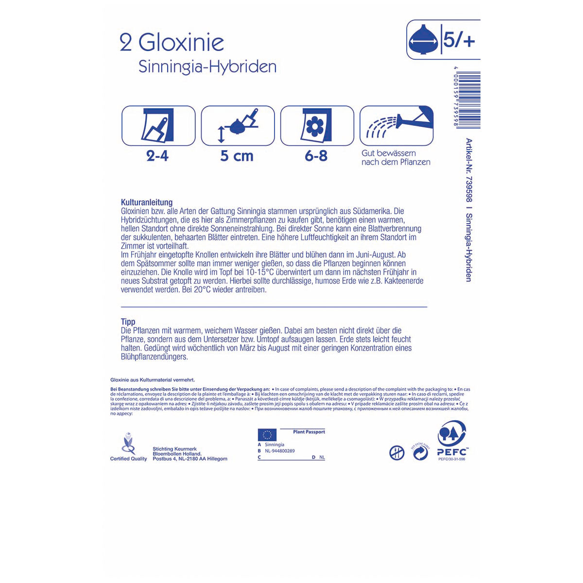 Kiepenkerl Gloxinie Corina Größe 5+ 2 Stück Bild 2