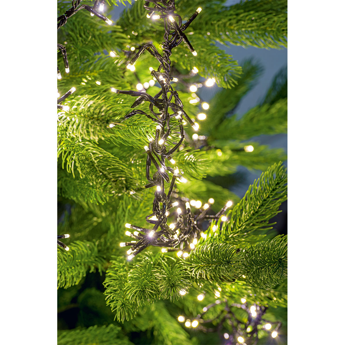 Cluster 1152LED warmweiss IP44 Timer6.9M 1,5M Bild 3