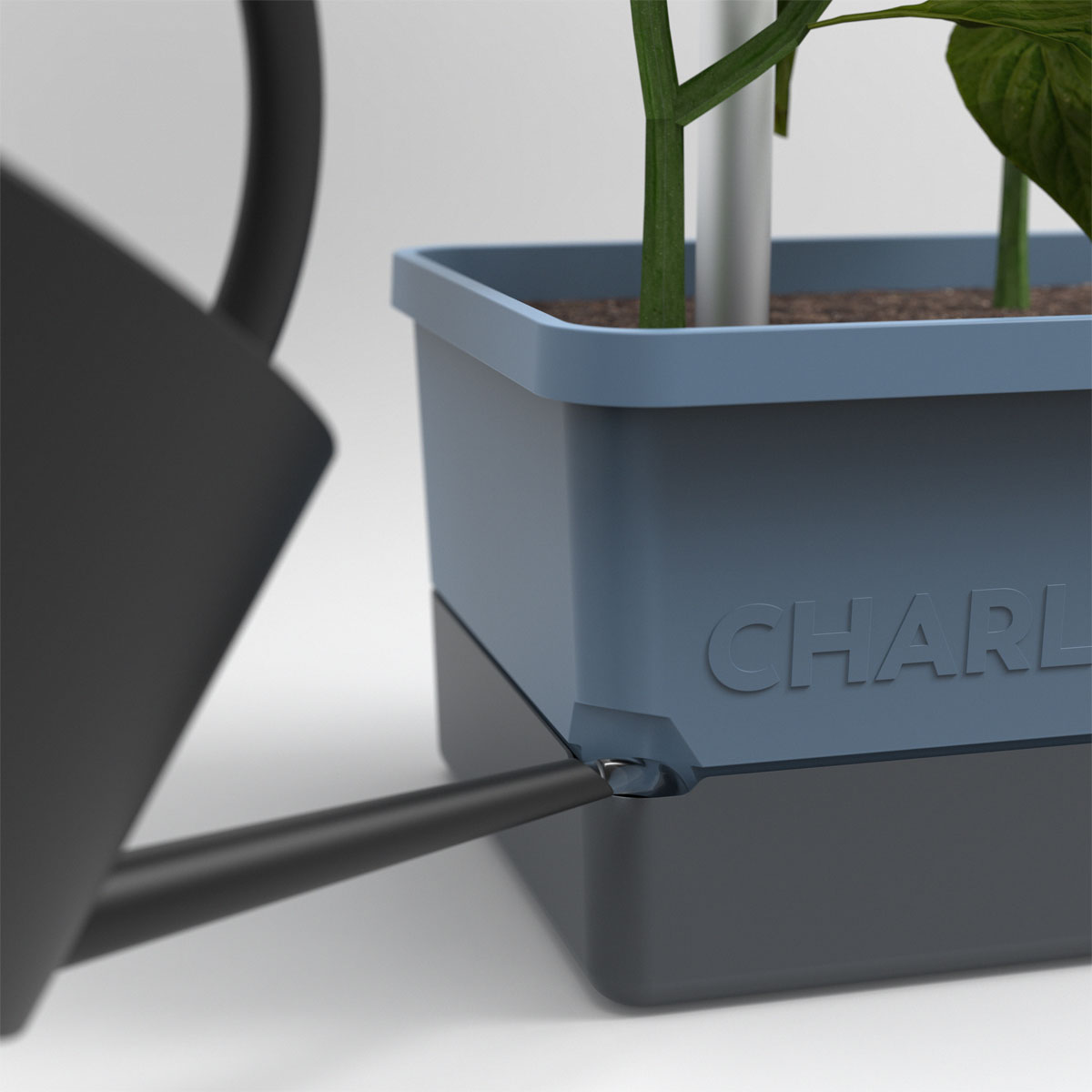 Rankhilfe Charly Chily blau Bild 3