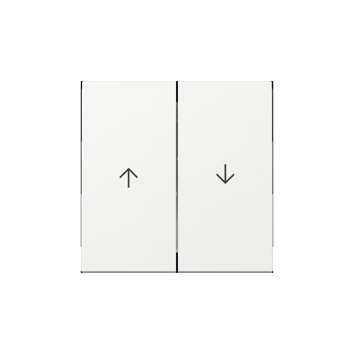 Gira  Wippe 2f Pfeil System 55 Reinweiß