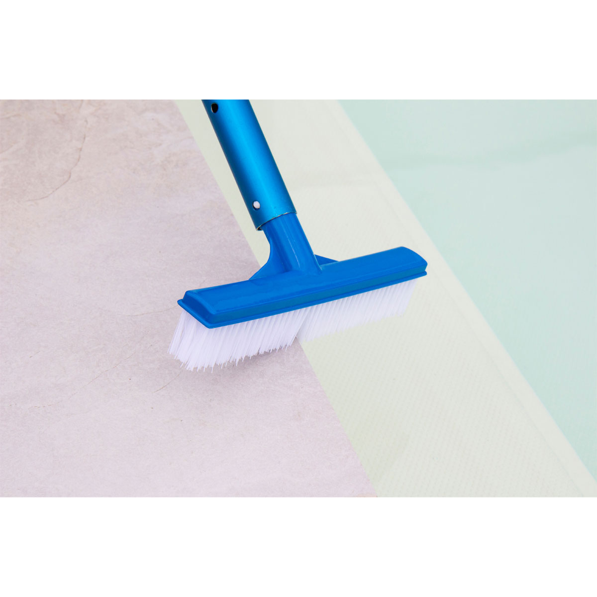 Beckenbürste Kurz Bild 2