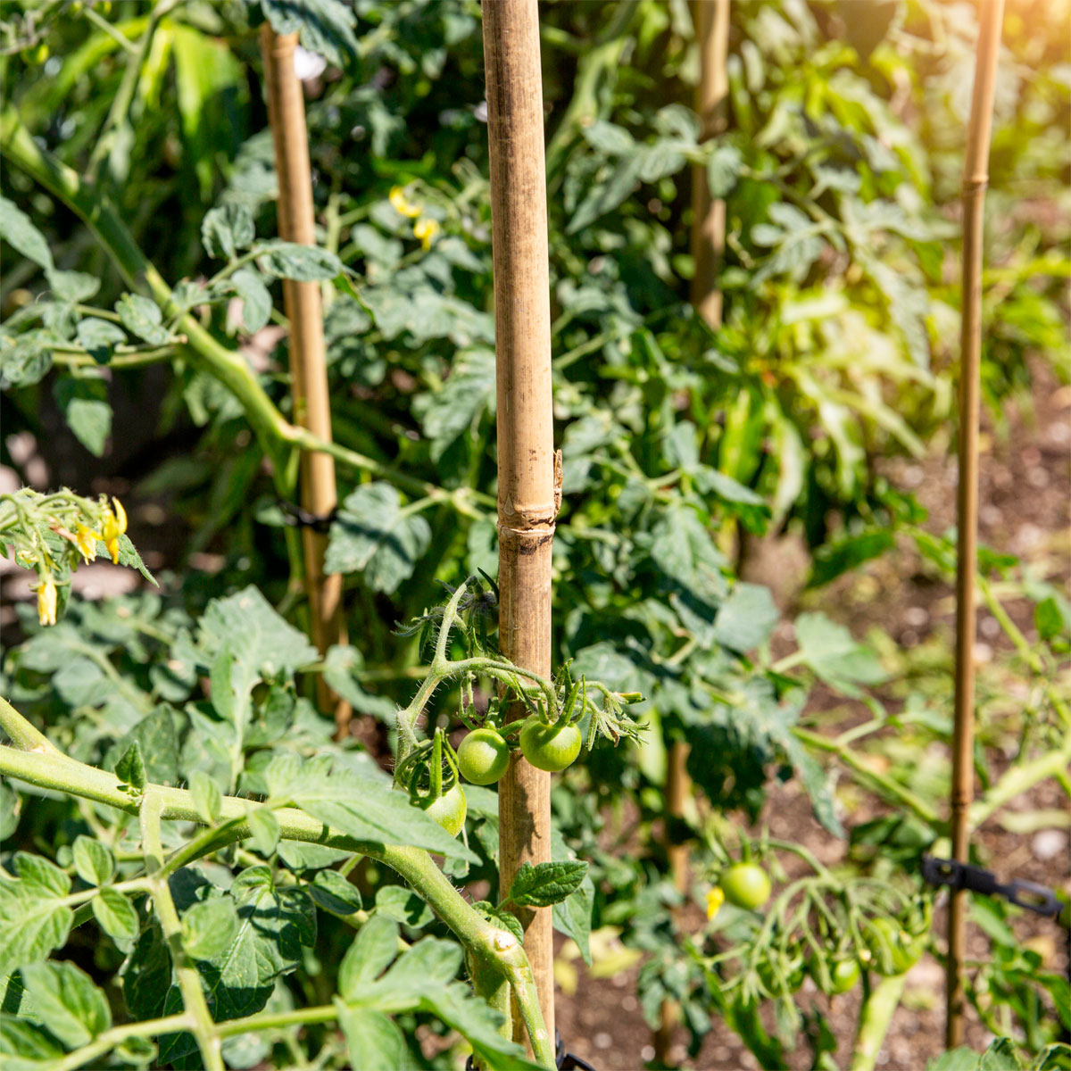 Windhager  Tonkinstäbe 120 cm Bild 1