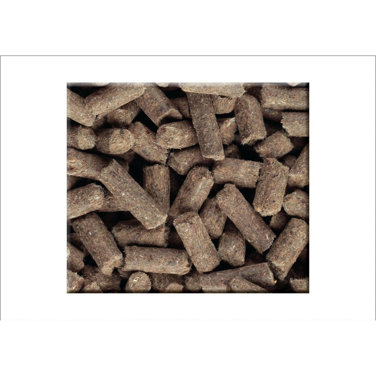 Compo BIO Universal Langzeit-Dünger mit Schafwolle 2 kg Bild 5