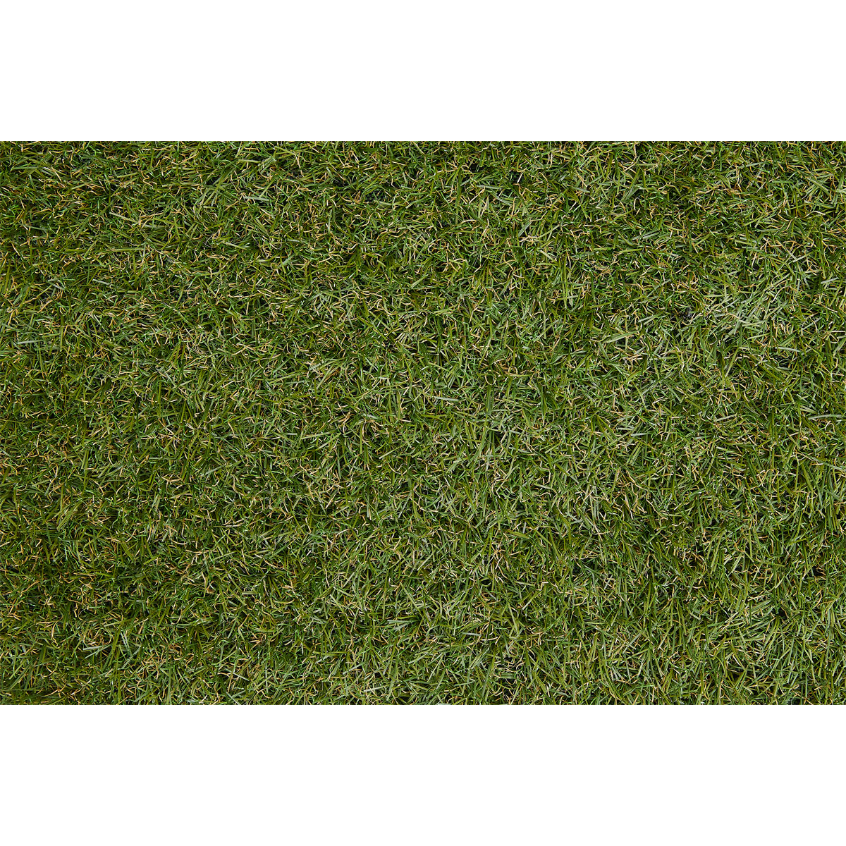 Kunstrasen Chill 300 x 200 cm