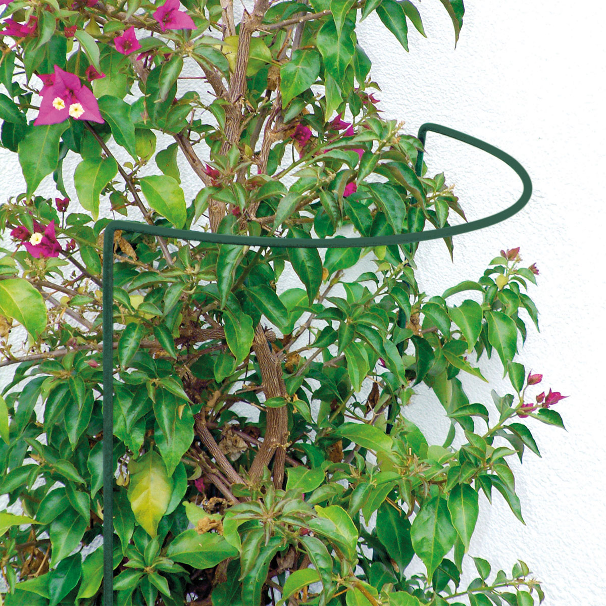 Staudenstütze 40 x 70 cm Bild 2