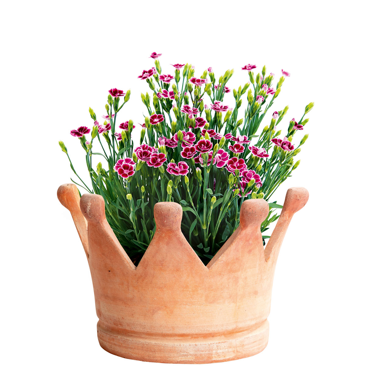 Haveson Pflanzschale Krone klein