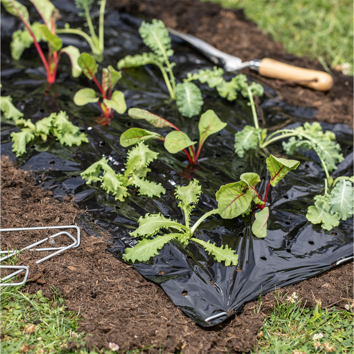 Windhager  Mulch-Folie 10x1,2 m Bild 1