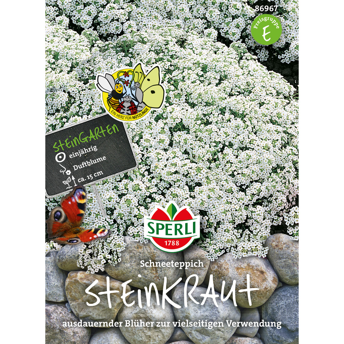 Sperli Steinkraut ngs Schneeteppich Bild 1