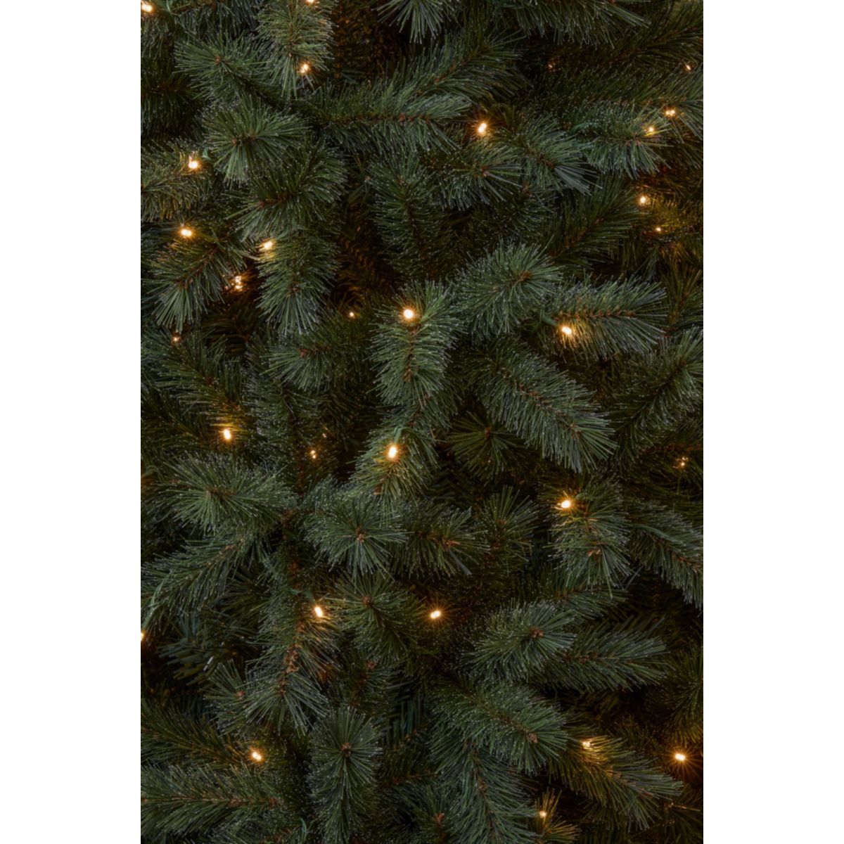 Norwood Weihnachtsbaum grün warm weiß LED 185x119cm cm mit Timer & Dimmer Bild 3