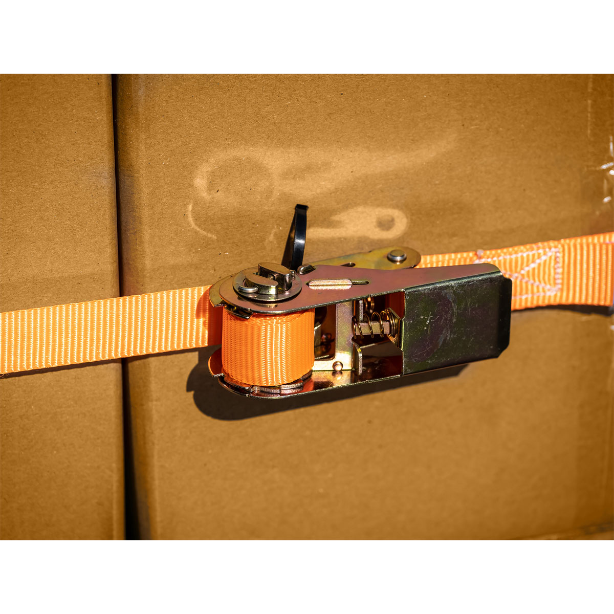 LAS 10299 Spanngurt mit Ratsche 25 mm x 5 m 500 kg Bild 3