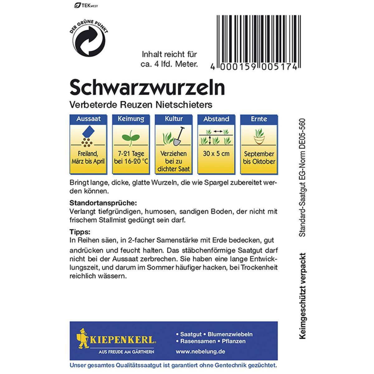 Kiepenkerl Schwarzwurzeln Verbeterde Reuzen Nietschieter Bild 2