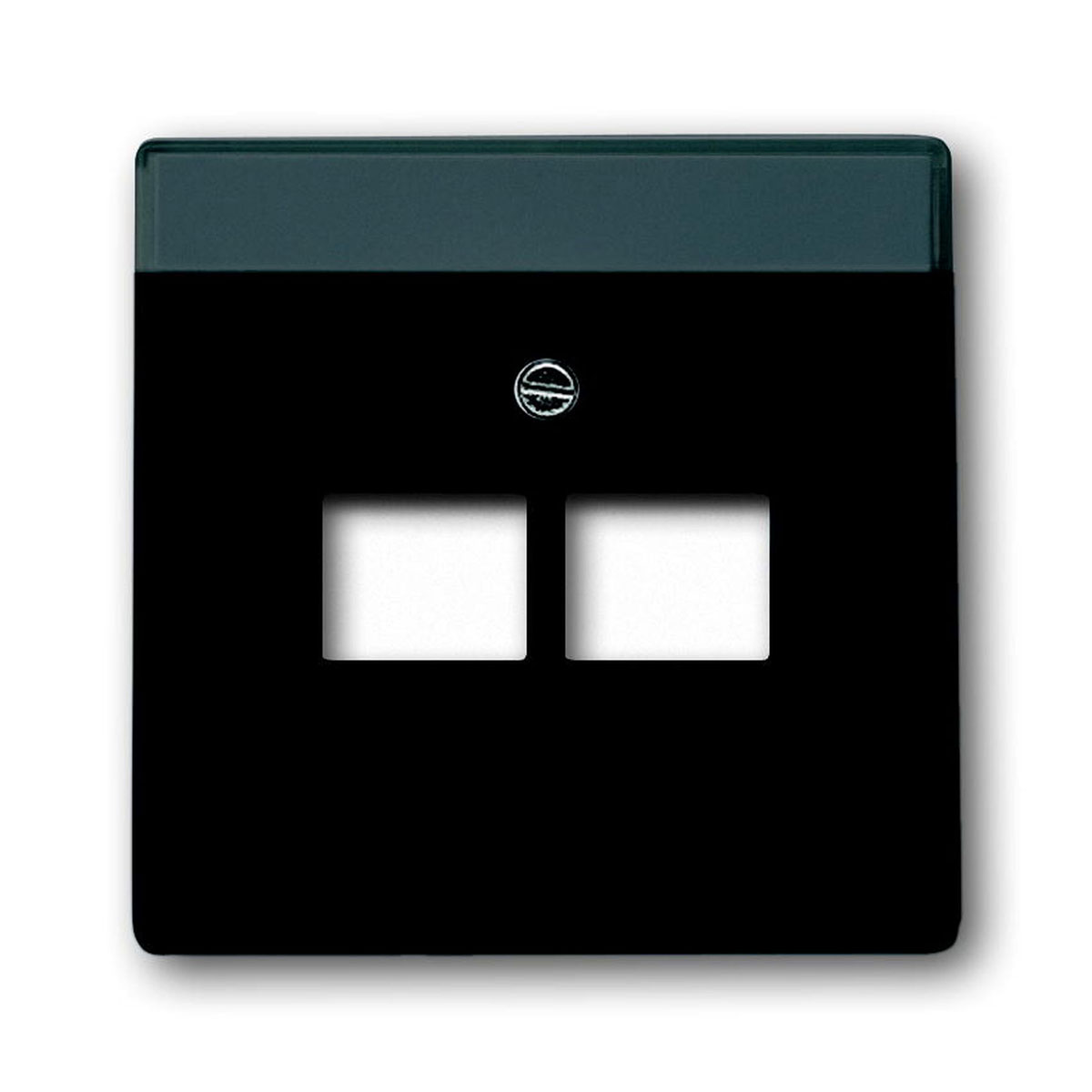 Busch-Jaeger UAE-Abdeckung future linear schwarz