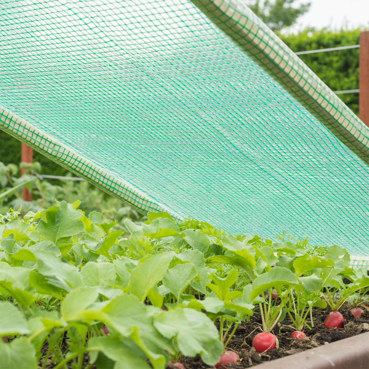 Windhager  Gitter-Folie Strong 3x2 m 250 g/m² Bild 1