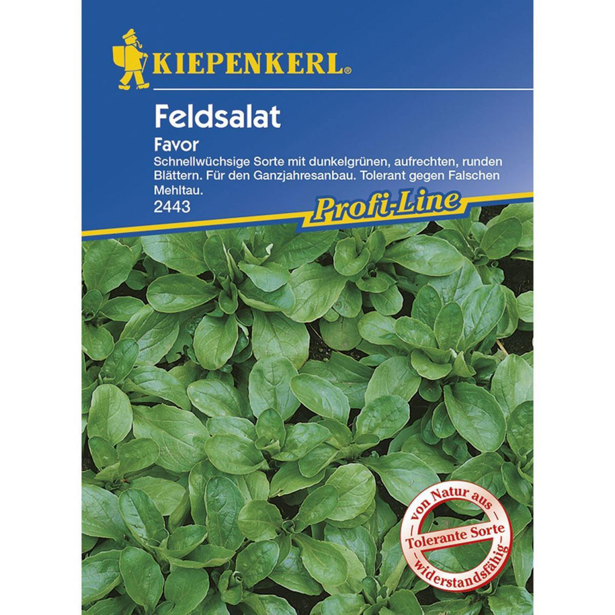 Kiepenkerl Feldsalat Favor Profi-Line Bild 1