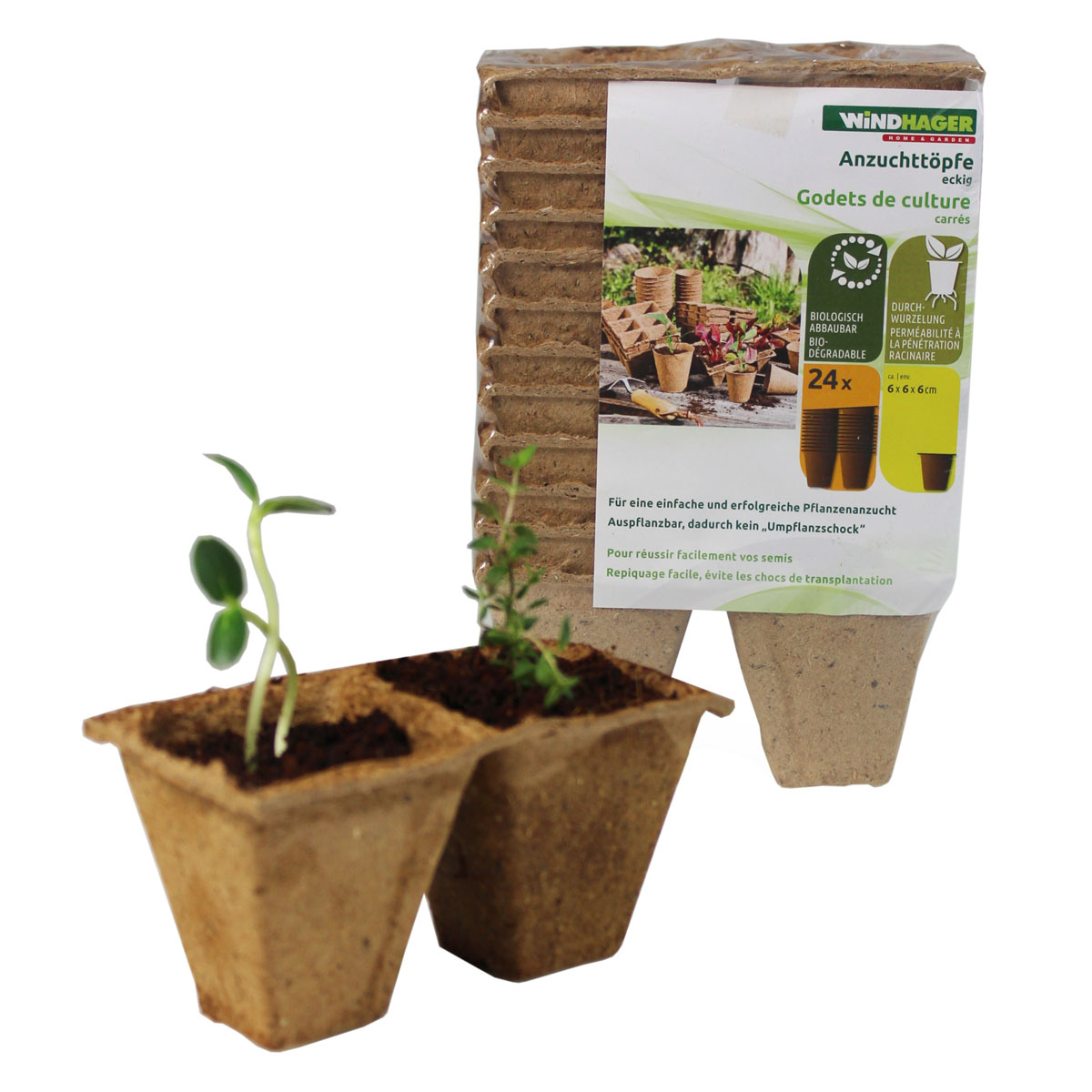 Windhager  Torf-Anzuchttöpfe 8 cm Bild 2