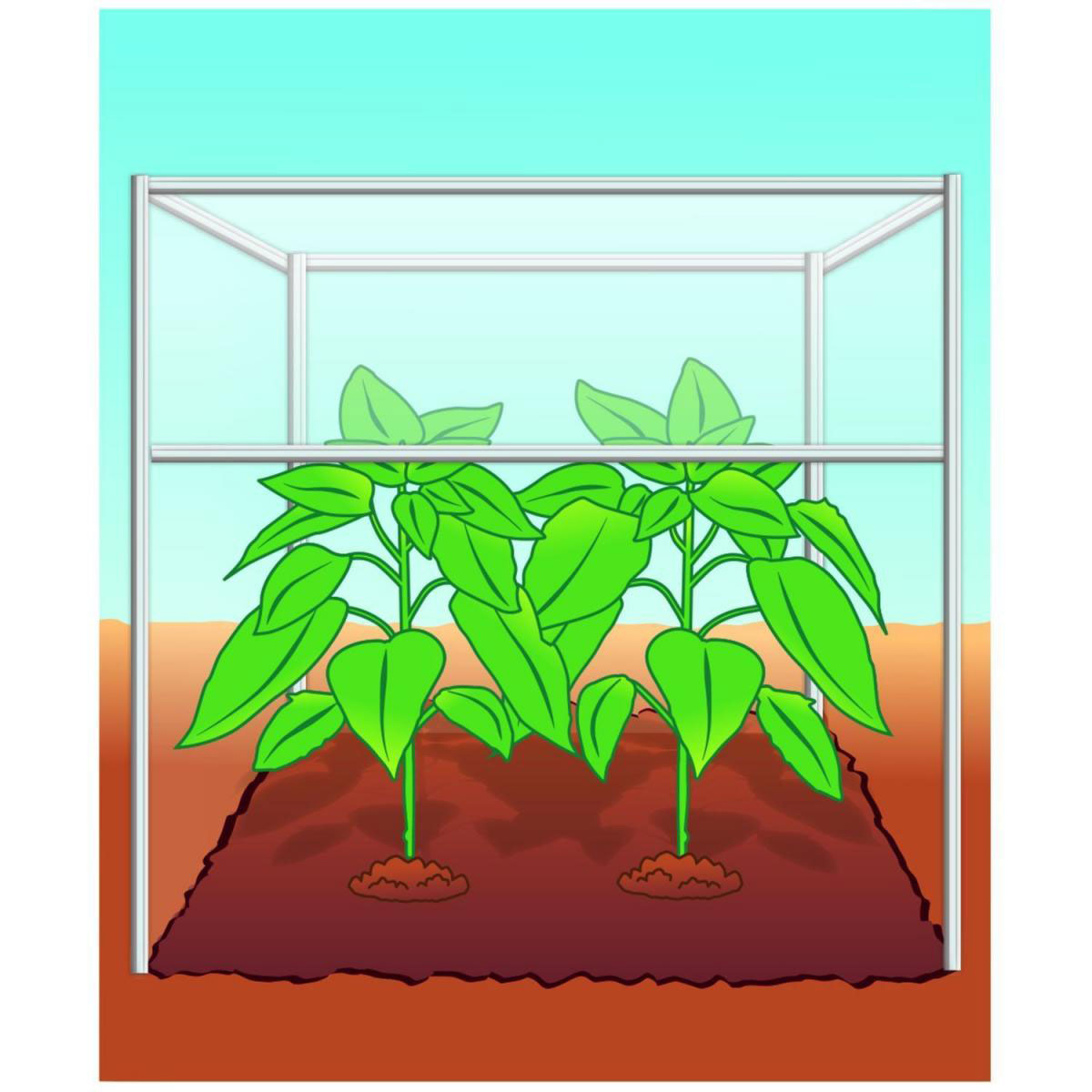 Compo BIO Tomaten- und Gemüseerde torffrei 40 L Bild 2