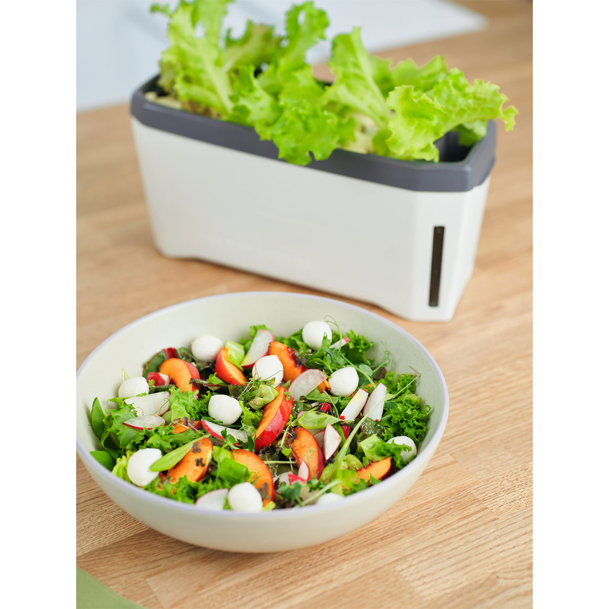 Anzuchtgefäß Harry Herbs mit Deckel weiß