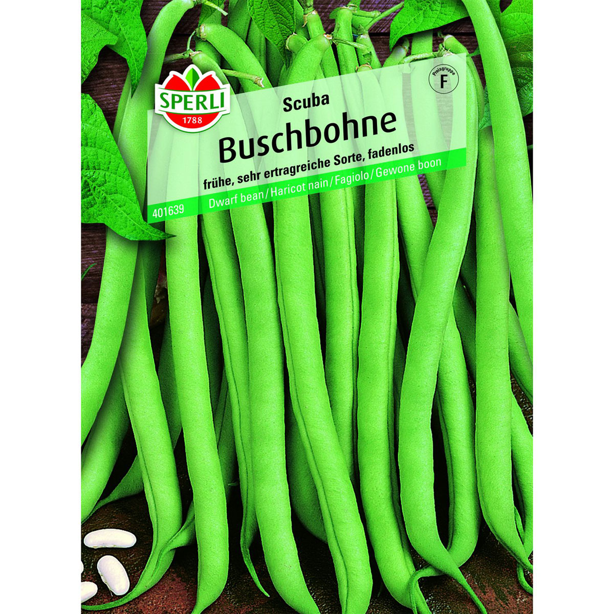 Buschbohne Scuba Bild 1