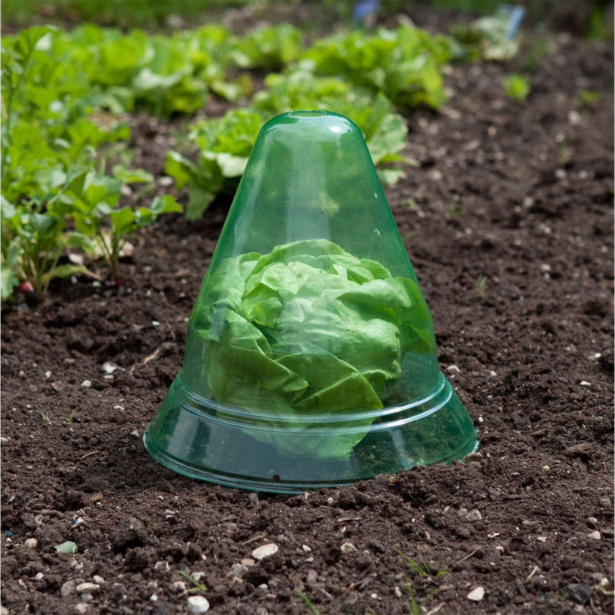 Windhager  Pflanzenhut groß 10 Stück Durchmesser 24 cm Bild 2