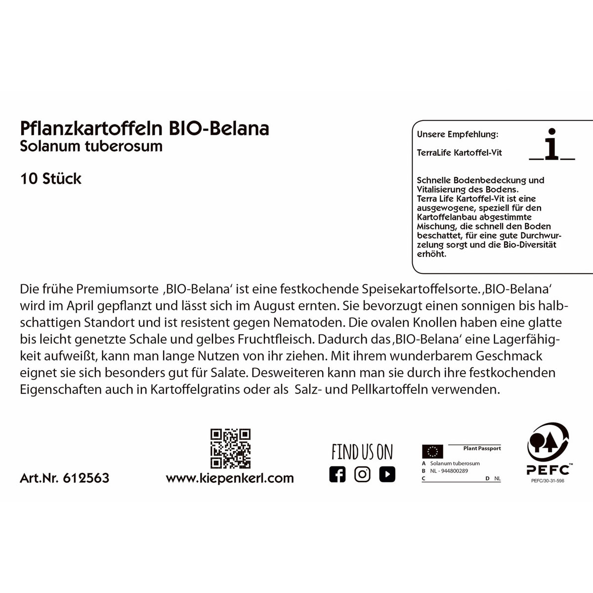 Kiepenkerl Pflanzkartoffel Belana Bio früh festkochend 10 Stück Bild 2