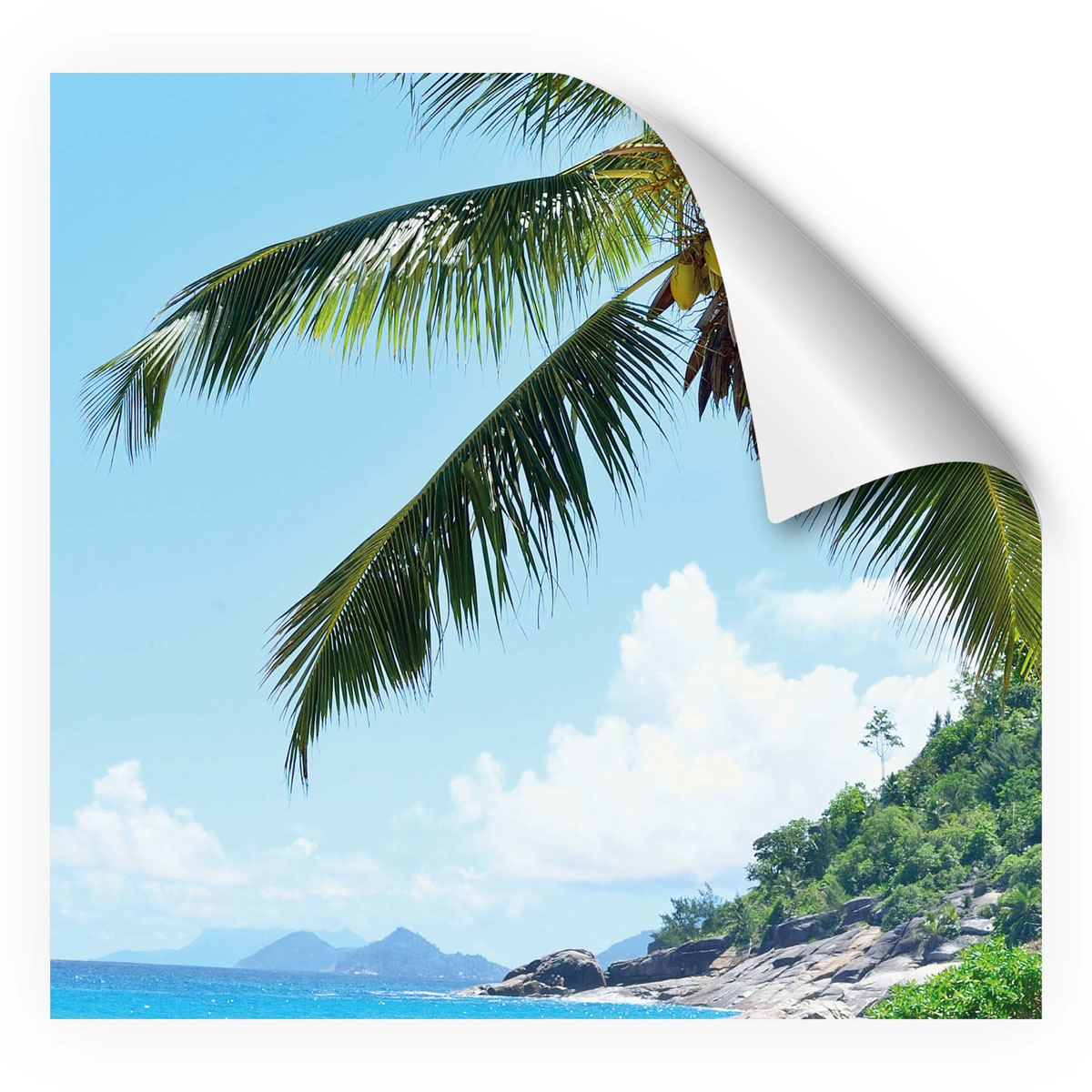 MySpotti Fresh DuschrückwandfolieSeychellen Bild 1