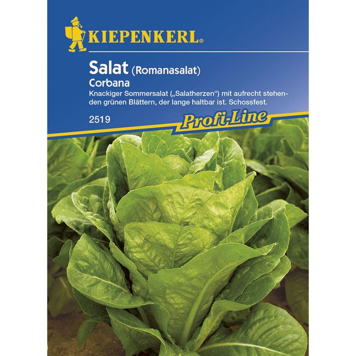 Kiepenkerl Romana-Salat Corbana Bild 1