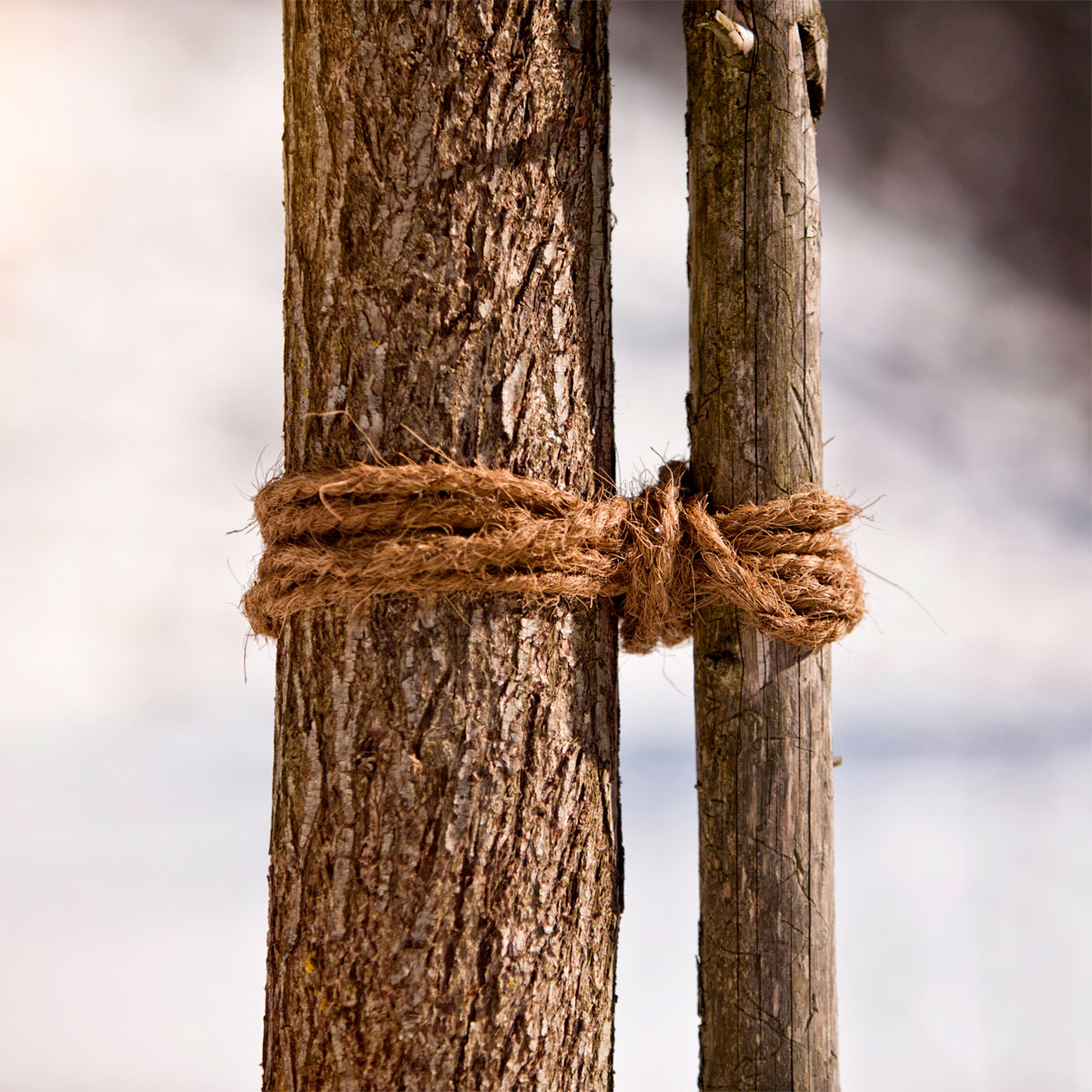 Windhager Kokosgarn, 15 m Bild 1