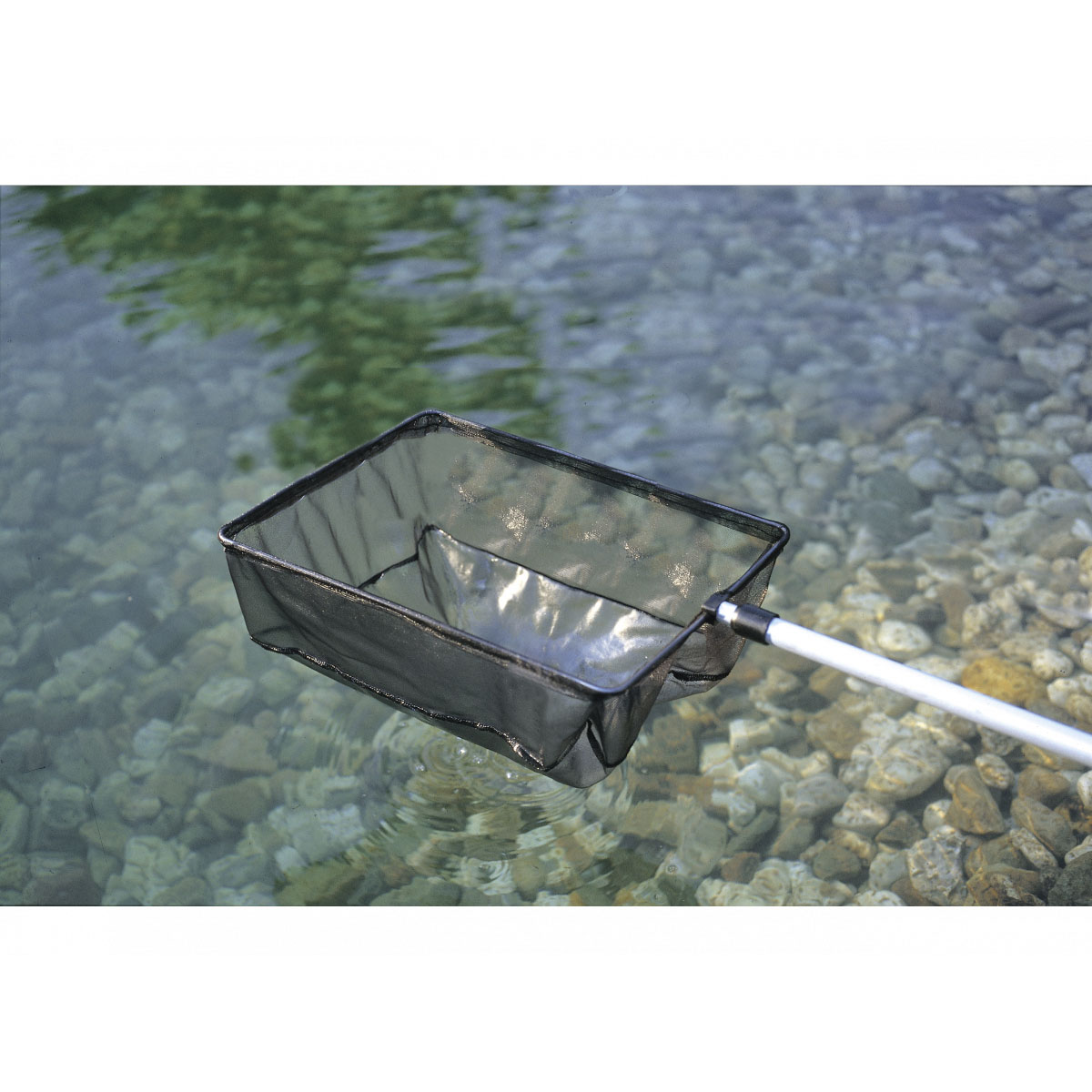 Oase Algenkescher Bild 1