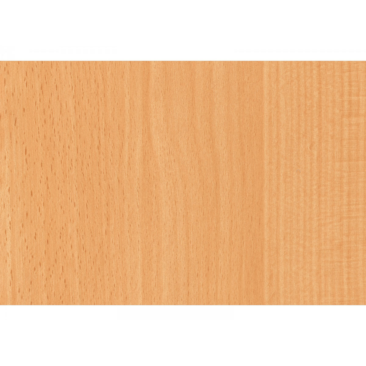 Klebefolie Holzoptik Rotbuche 45 x 200 cm Klebefolie Holzoptik Rotbuche 45 x 200 cm