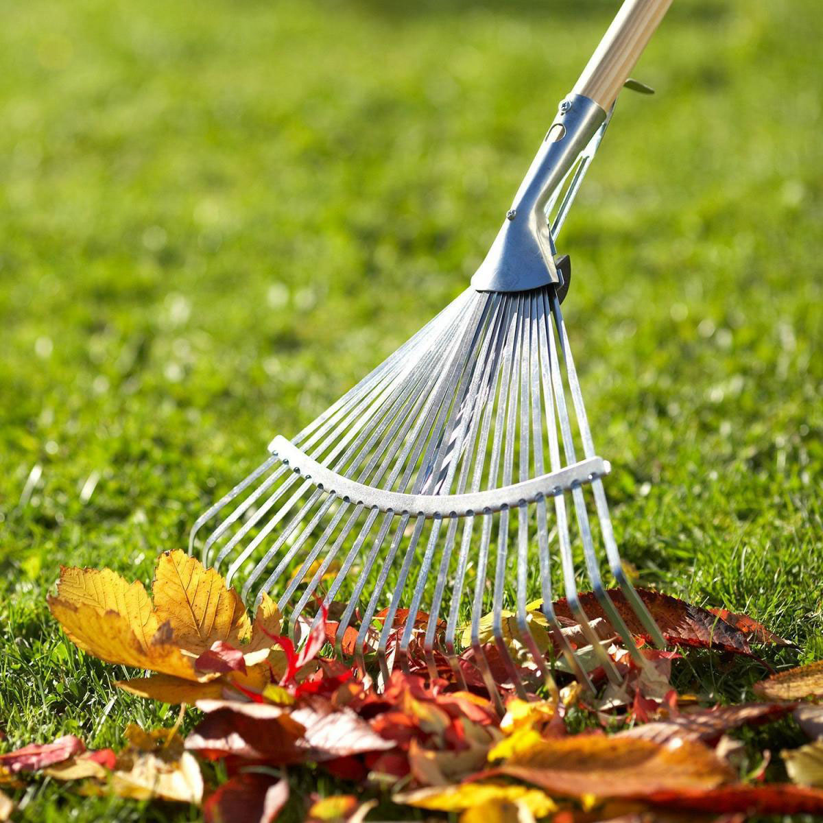 Meister Laubbesen verzinkt Bild 2