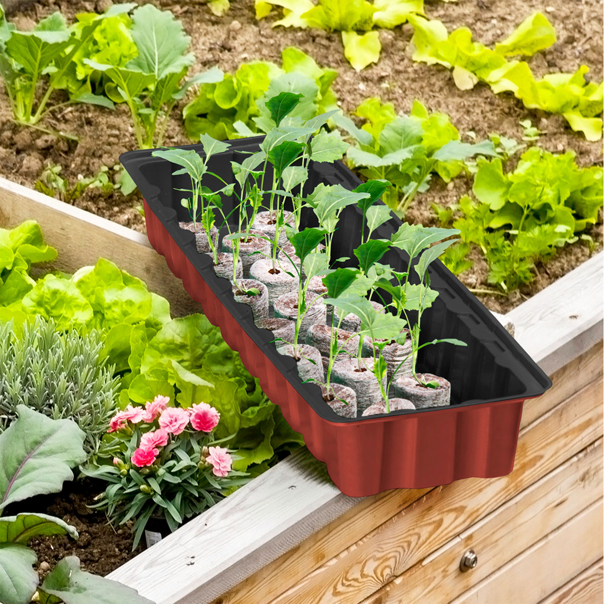 Windhager  Treibhaus-Fensterbank 54x16x11 cm Bild 2