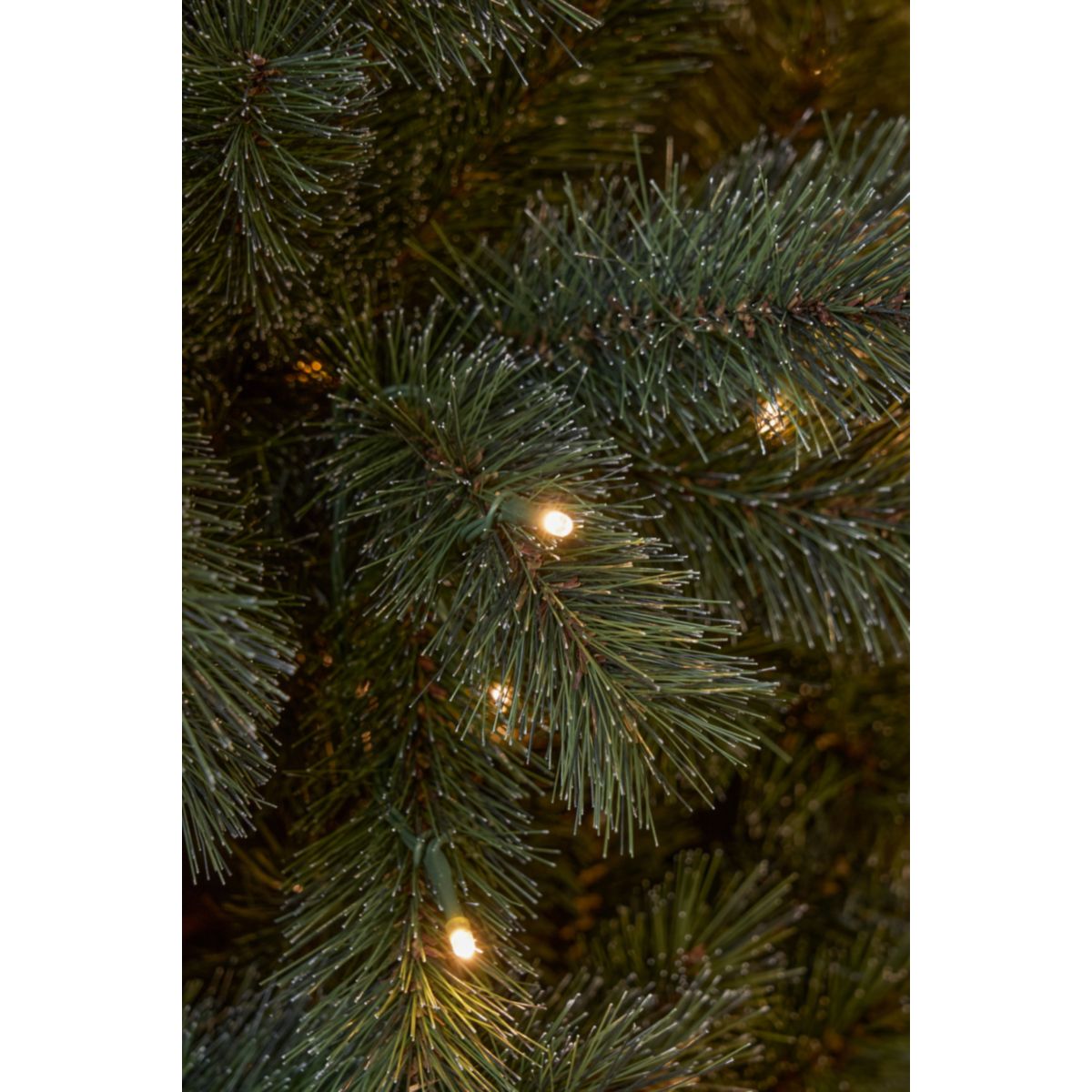 Norwood Weihnachtsbaum grün warm weiß LED 185x119cm cm mit Timer & Dimmer Bild 2