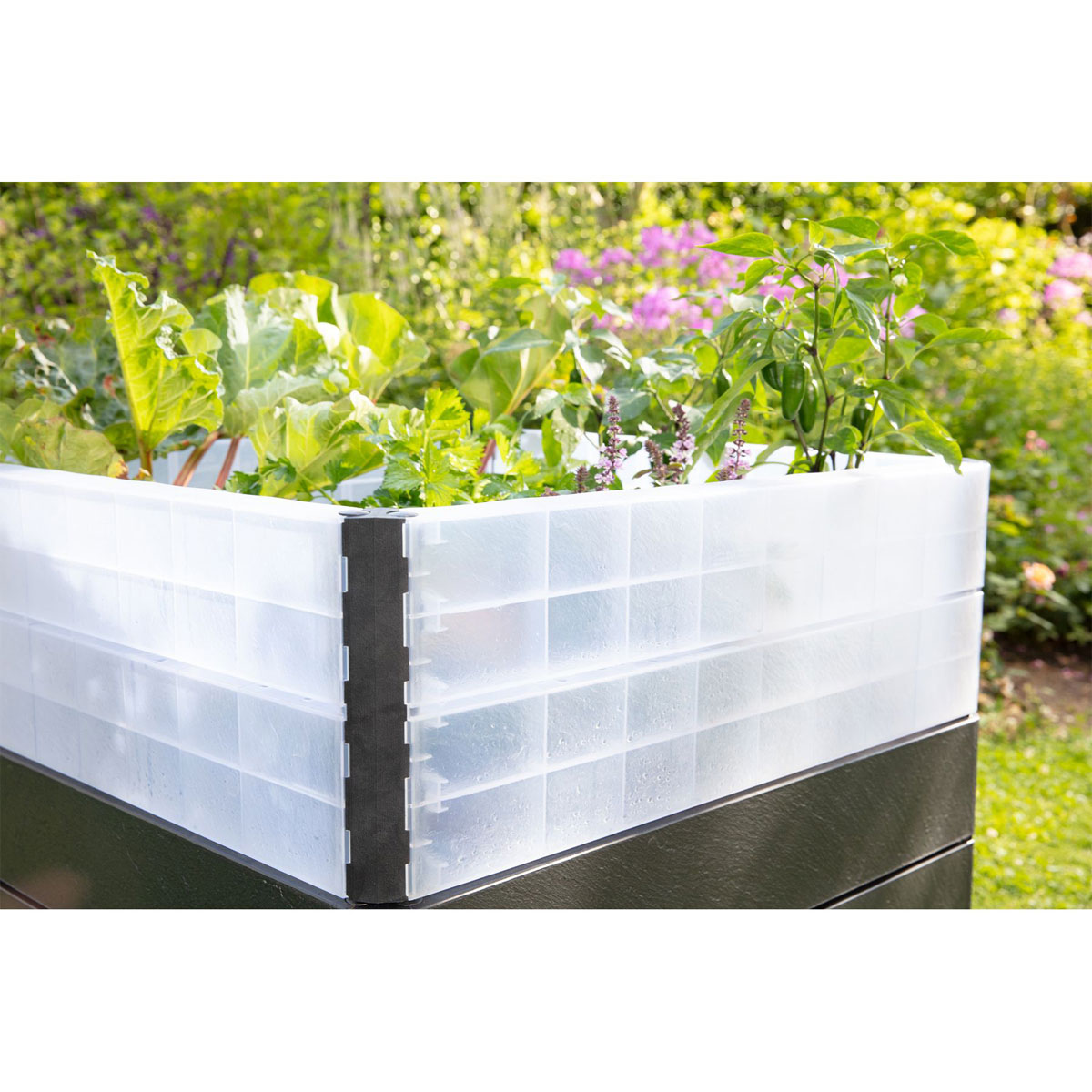 Garantia Wachstumsmodul Ergo für Hochbeet-System Bild 4