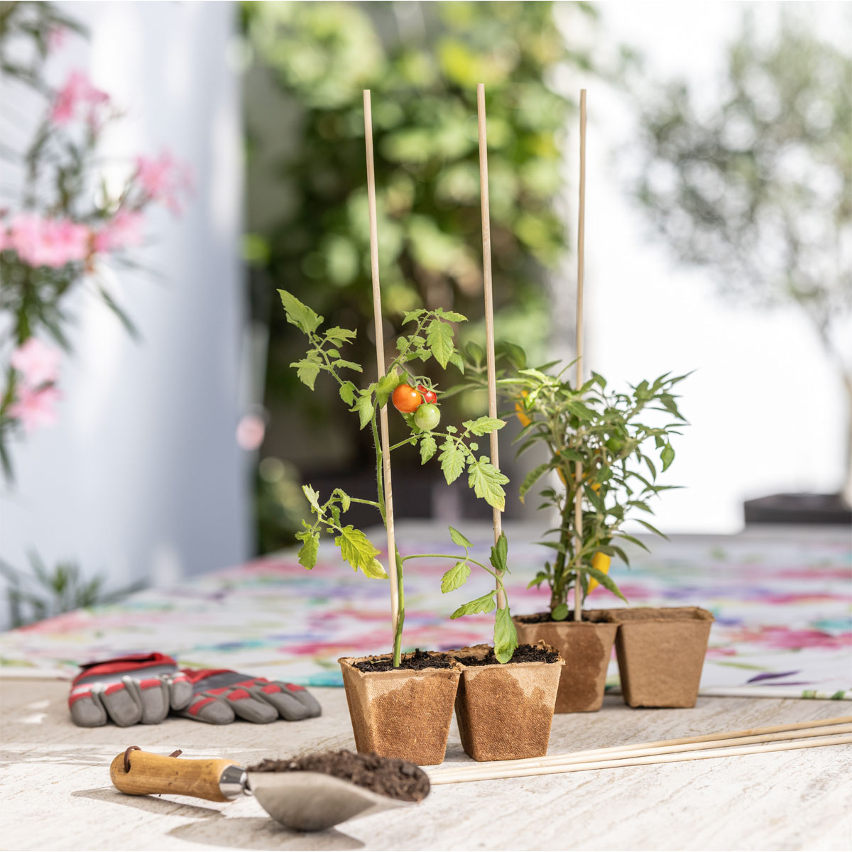 Windhager  Splittstäbe 50 cm natur Bild 2