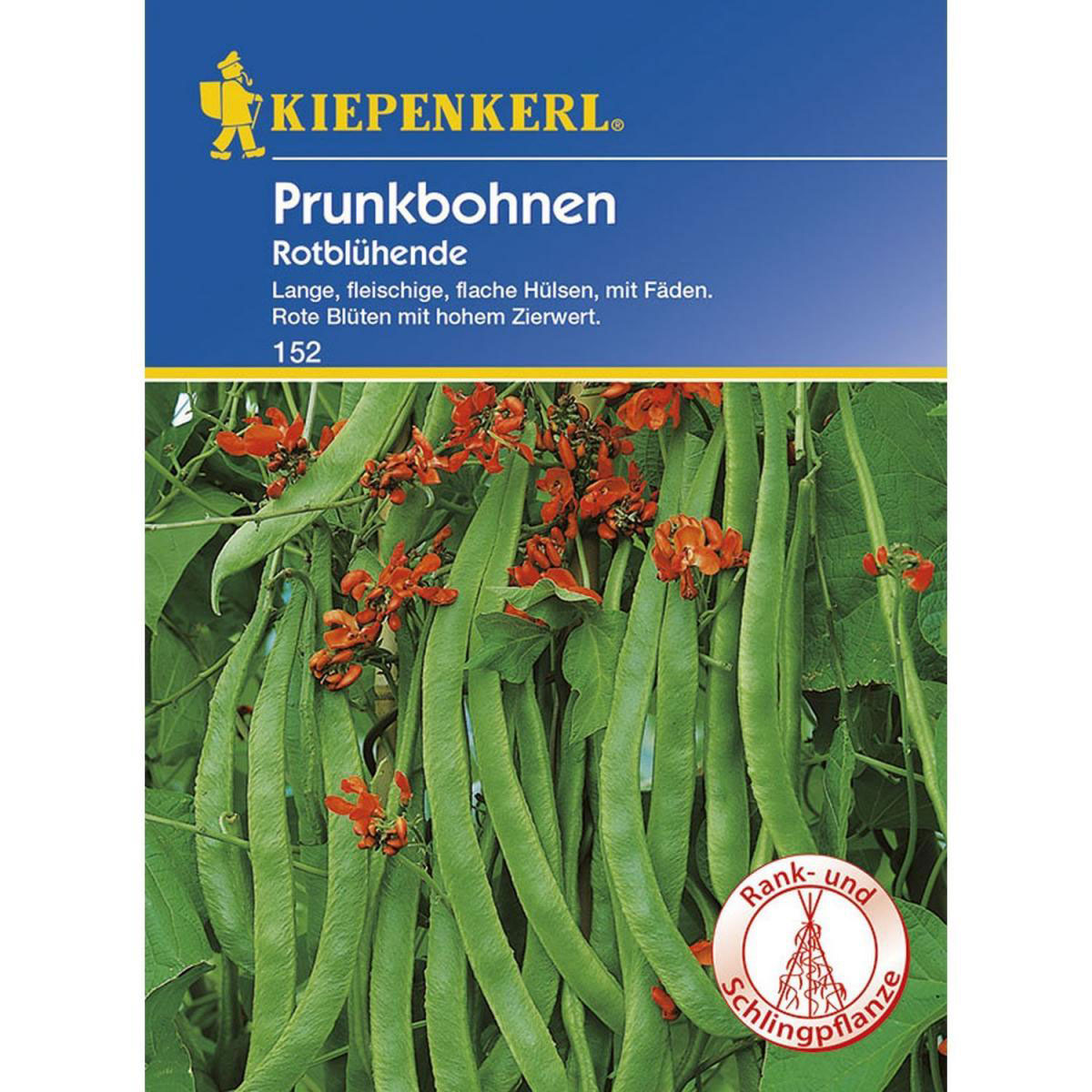 Kiepenkerl Prunkbohnen Rotblühende