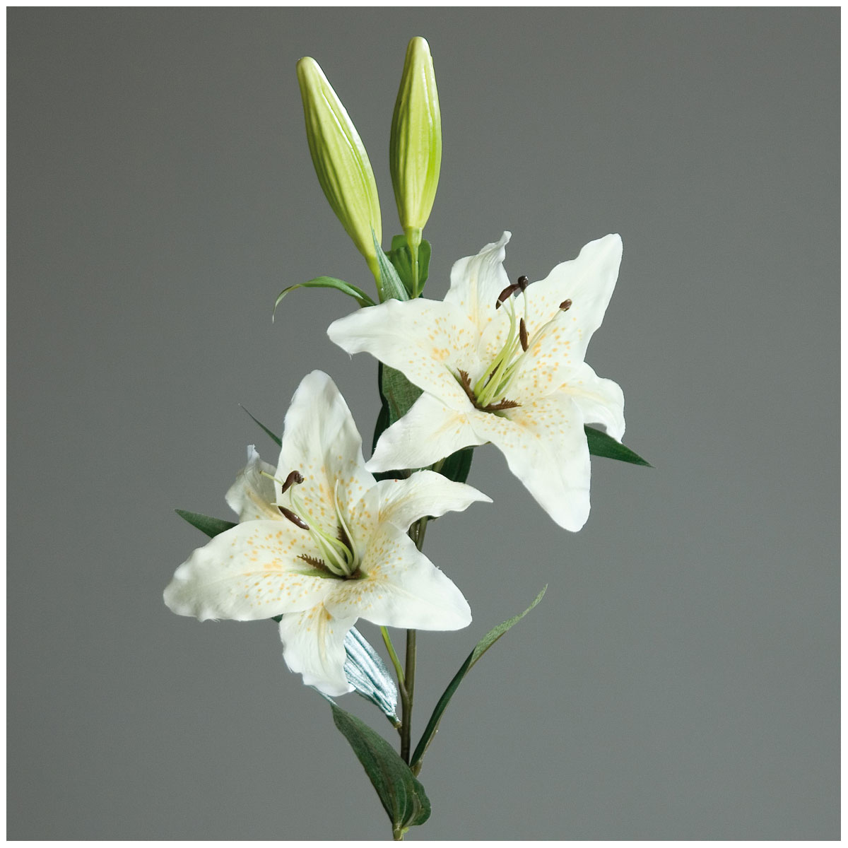 Promotion Lilie 84 cm cream